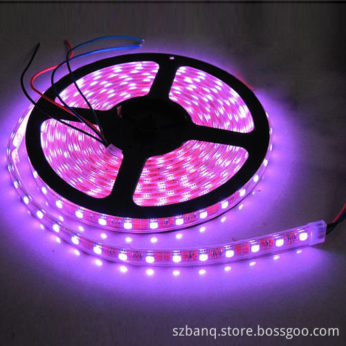 5050 SMD Rigid LED Strip (BQ-T70YW-12V-BF)
